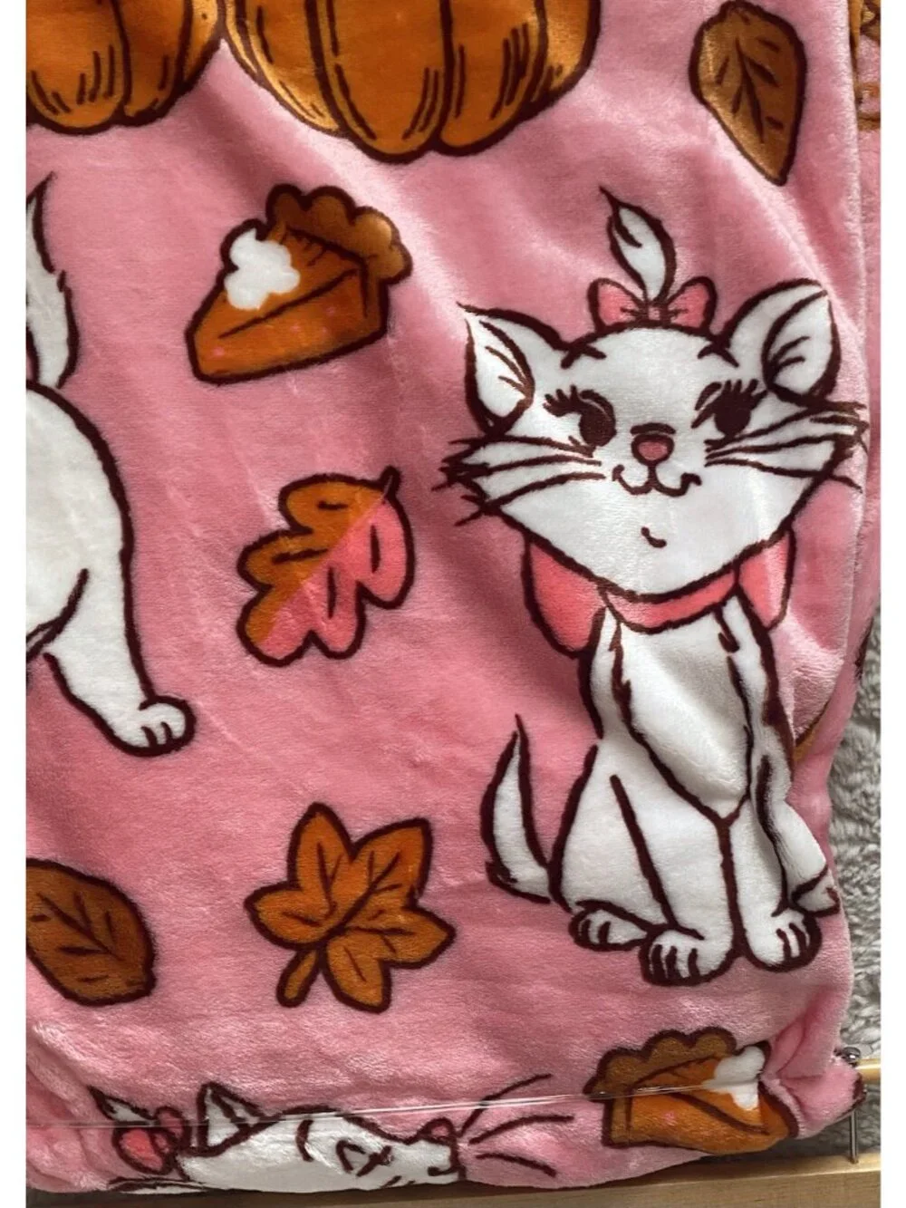Disney Aristocats Marie Autumn Fall Pumpkins Soft Throw Blanket 50